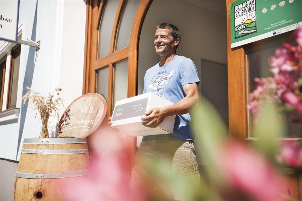 Homestay Gaestehaus Auer Werner Jois